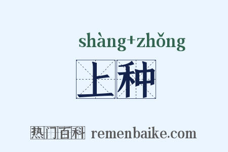 上种是什么意思的图片